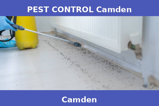 PEST CONTROL Camden